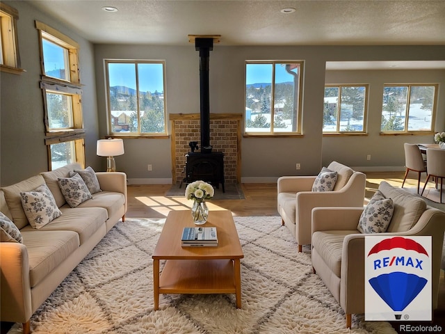 living area featuring a mountain view, light wood finished floors, a wood stove, and baseboards