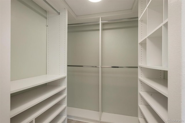 800 N Pearl St Unit 611, Denver, CO 80203 - view of spacious closet