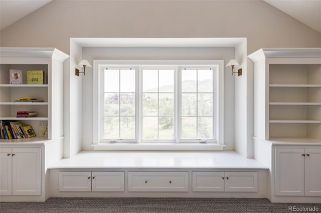 mudroom with lofted ceiling and carpet