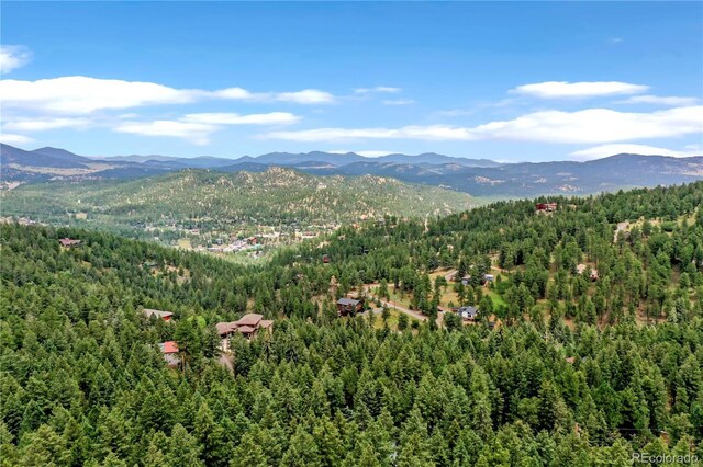 26367 Bell Park Dr, Evergreen, CO 80439 - photo 3