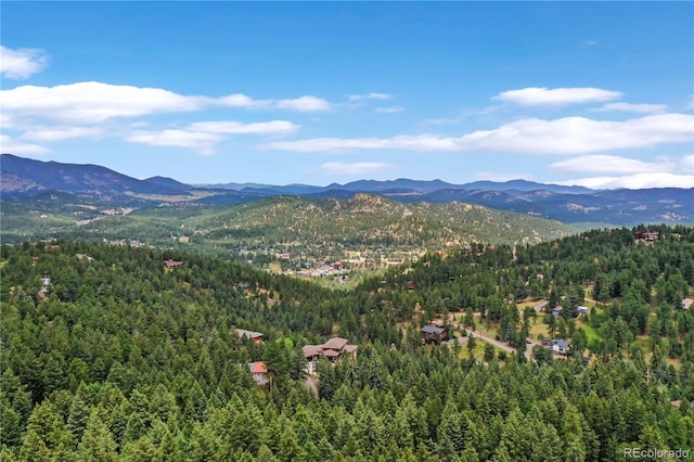 26367 Bell Park Dr, Evergreen, CO 80439 - photo 4