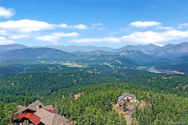 26367 Bell Park Dr, Evergreen, CO 80439 - photo 6