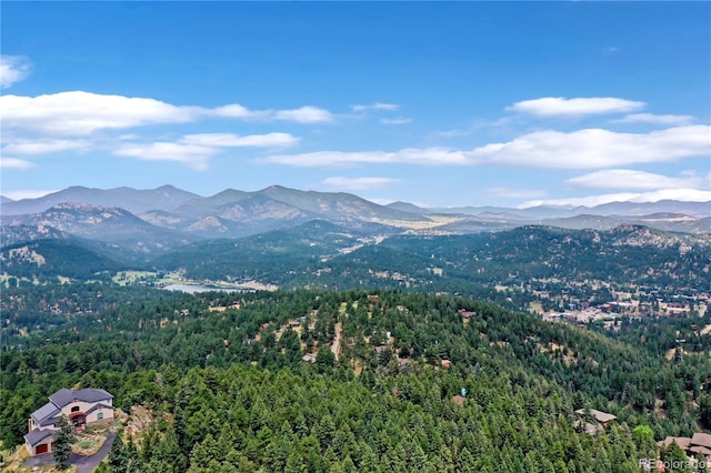 26367 Bell Park Dr, Evergreen, CO 80439 - photo 8