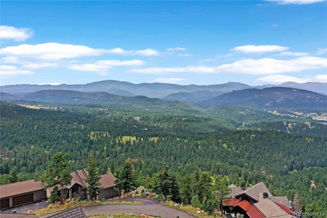 26367 Bell Park Dr, Evergreen, CO 80439 - photo 9