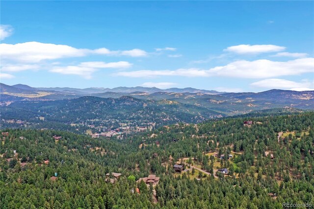 26367 Bell Park Dr, Evergreen, CO 80439 - photo 11