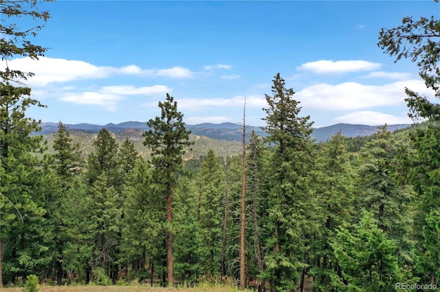 26367 Bell Park Dr, Evergreen, CO 80439 - photo 13