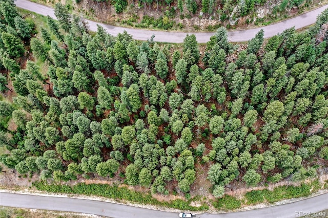 26367 Bell Park Dr, Evergreen, CO 80439 - photo 14
