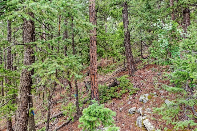 26367 Bell Park Dr, Evergreen, CO 80439 - photo 15