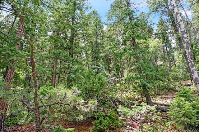26367 Bell Park Dr, Evergreen, CO 80439 - photo 16