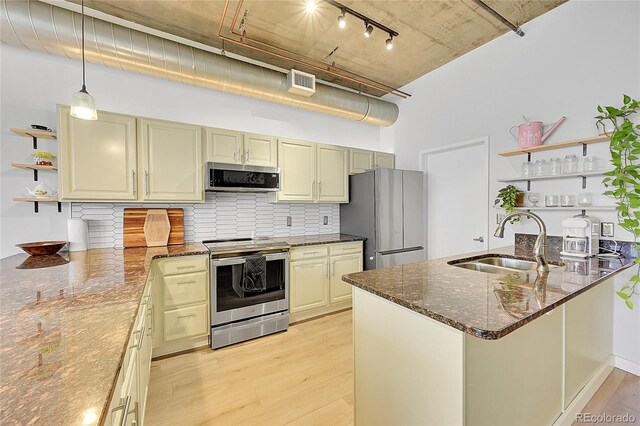 290 W 12th Ave Unit 205, Denver, CO 80204 - kitchen with open shelves, stainless steel appliances, a sink, light wood-style floors, and a towering ceiling