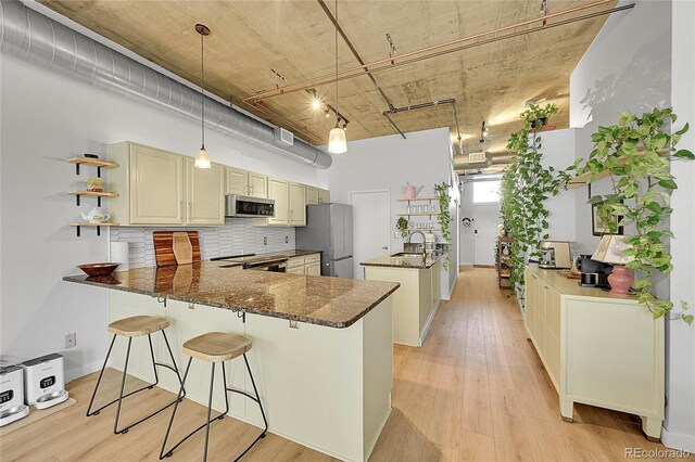 290 W 12th Ave Unit 205, Denver, CO 80204 - kitchen featuring appliances with stainless steel finishes, a peninsula, tasteful backsplash, and light wood-style floors