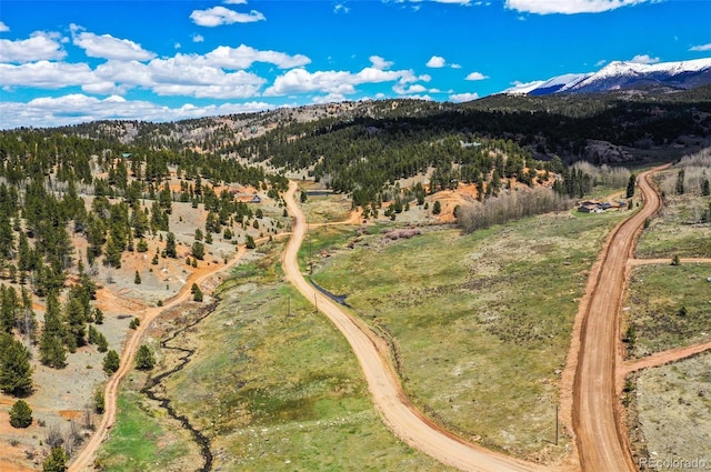 1359 Anges Dr, Cripple Creek CO, 80813 land for sale