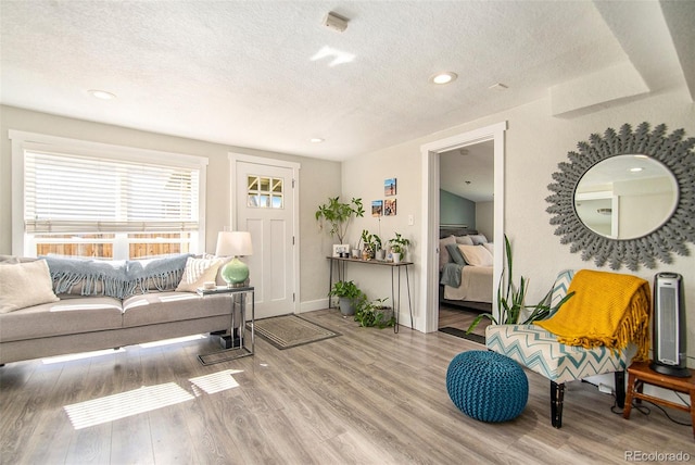 living room featuring a textured ceiling and hardwood / wood-style flooring