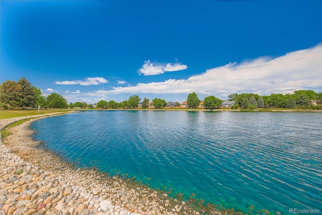 18297 E Baker Pl, Aurora, CO 80013 - photo 42