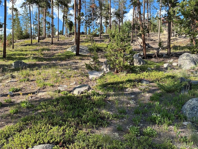 110 Hancock St, Grand Lake, CO 80447 - photo 3