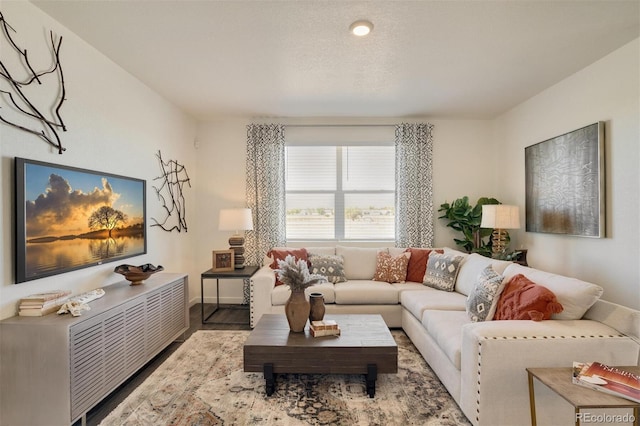 living room with hardwood / wood-style floors