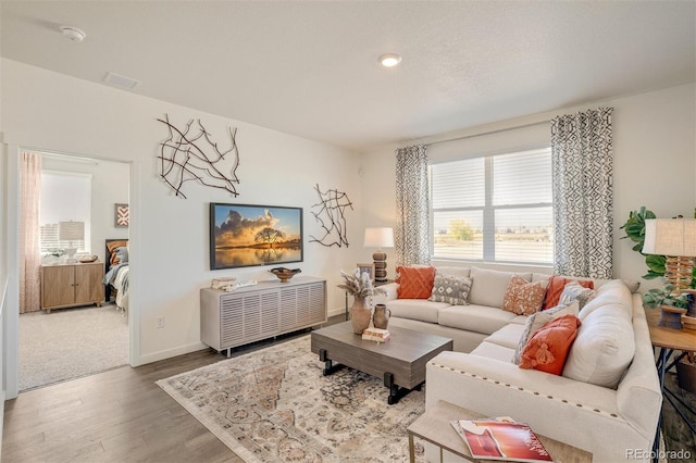 living room with hardwood / wood-style flooring