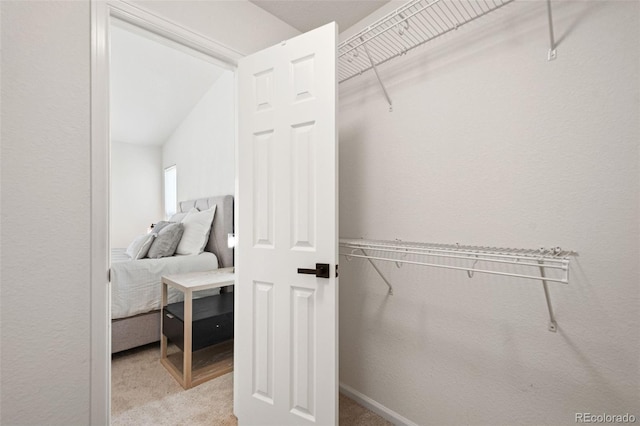 10681 Cherrybrook Cir, Highlands Ranch, CO 80126 - spacious closet with carpet flooring