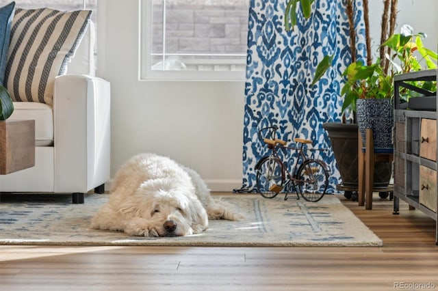 interior details featuring wood-type flooring