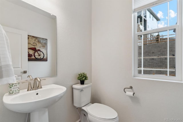 bathroom featuring toilet and a sink