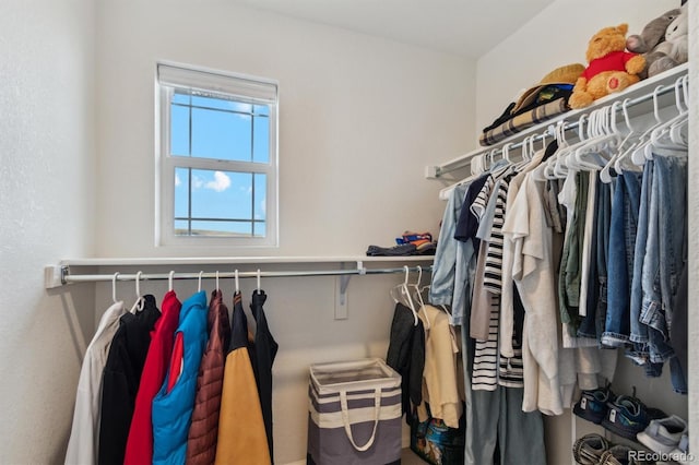 view of spacious closet