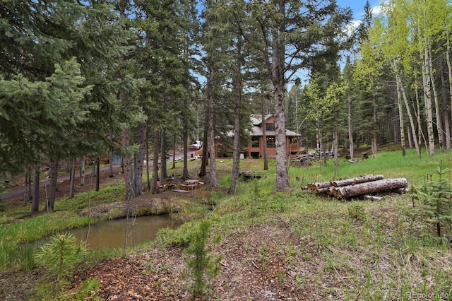8905 Carol Ln, Conifer, CO 80433 - view of yard