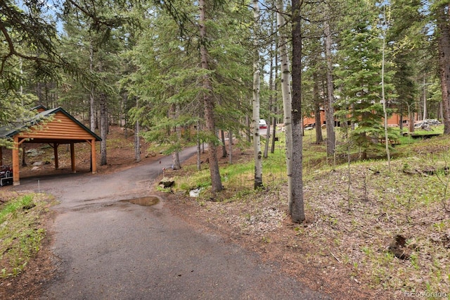 8905 Carol Ln, Conifer, CO 80433 - view of asphalt driveway