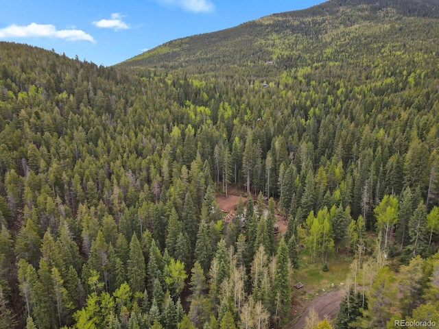8905 Carol Ln, Conifer, CO 80433 - mountain view with a heavily wooded area