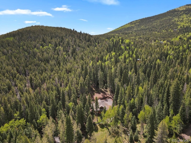 8905 Carol Ln, Conifer, CO 80433 - mountain view with a heavily wooded area