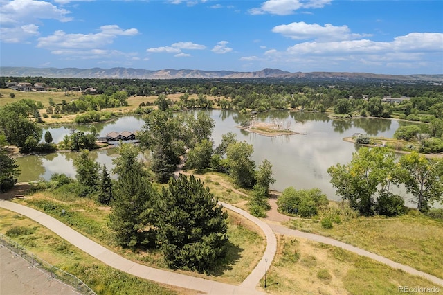 130 Flower St, Lakewood, CO 80226 - photo 23