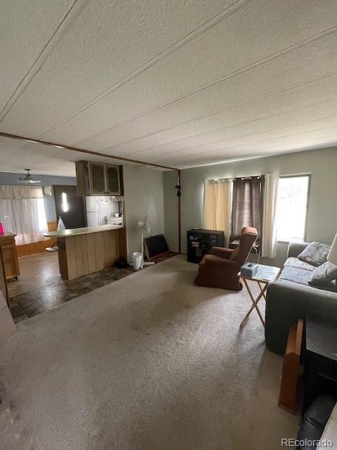 732 Nicholls Ave, Salida, CO 81201 - photo 5