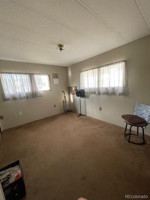 732 Nicholls Ave, Salida, CO 81201 - photo 9