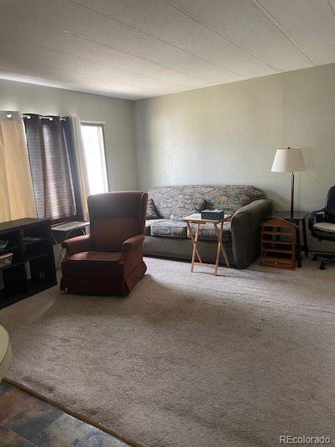 732 Nicholls Ave, Salida, CO 81201 - photo 15
