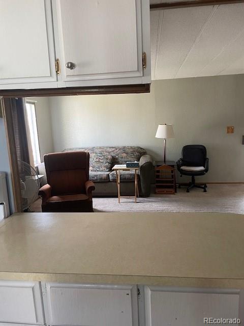 732 Nicholls Ave, Salida, CO 81201 - photo 16