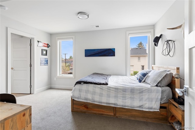 501 S Race St, Denver, CO 80209 - carpeted bedroom with multiple windows and baseboards