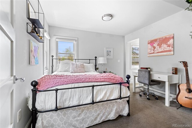 501 S Race St, Denver, CO 80209 - view of carpeted bedroom