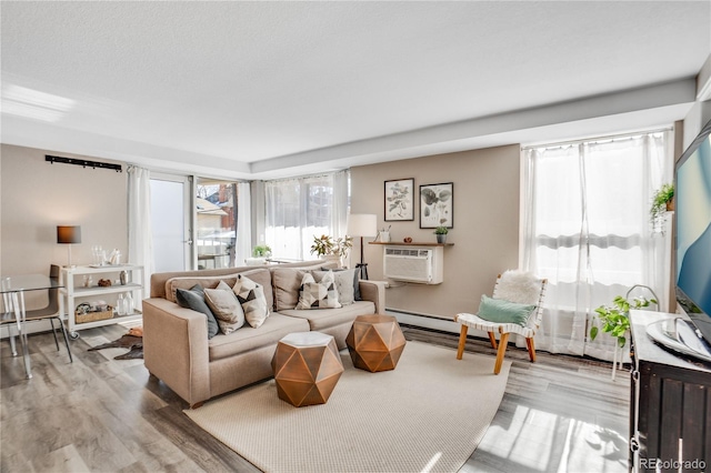 1150 Vine St Unit 201, Denver, CO 80206 - living room with wood finished floors and an AC wall unit