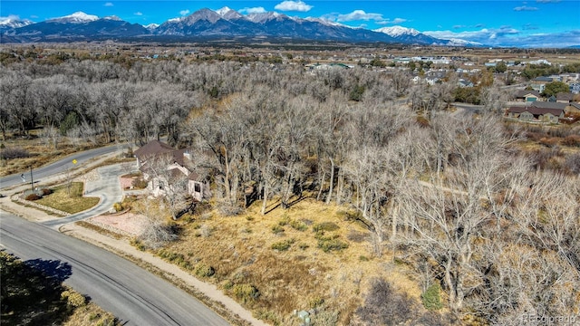 1102 Pinon Dr, Poncha Springs, CO 81242