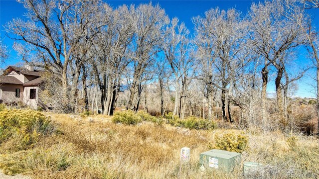 1102 Pinon Dr, Poncha Springs, CO 81242