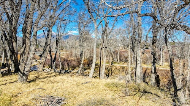 1102 Pinon Dr, Poncha Springs, CO 81242