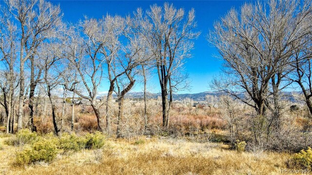 1102 Pinon Dr, Poncha Springs, CO 81242