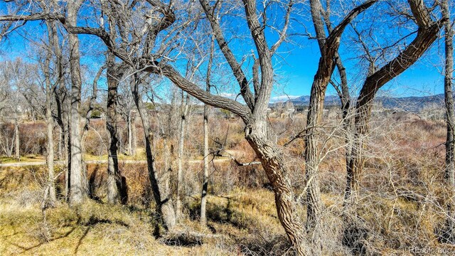 1102 Pinon Dr, Poncha Springs, CO 81242