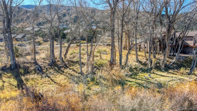 1102 Pinon Dr, Poncha Springs, CO 81242
