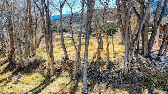 1102 Pinon Dr, Poncha Springs, CO 81242