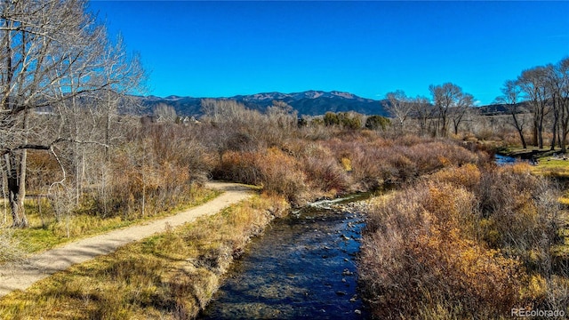 1102 Pinon Dr, Poncha Springs, CO 81242