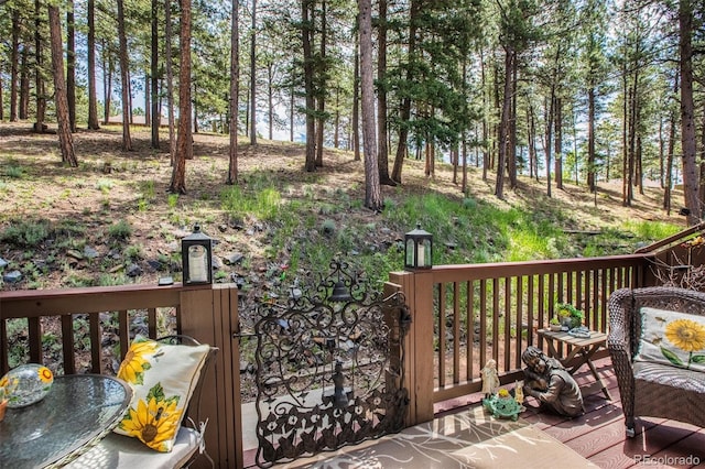 560 Manor Ct, Woodland Park, CO 80863 - photo 13