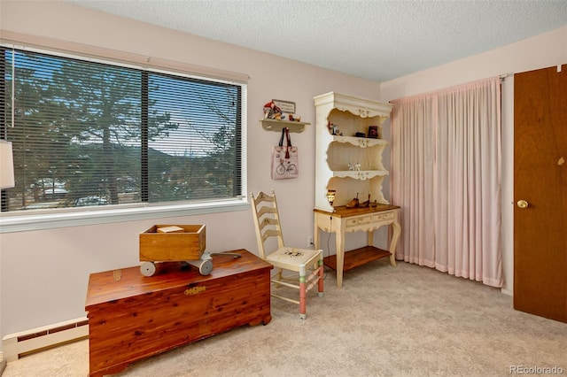 560 Manor Ct, Woodland Park, CO 80863 - photo 27