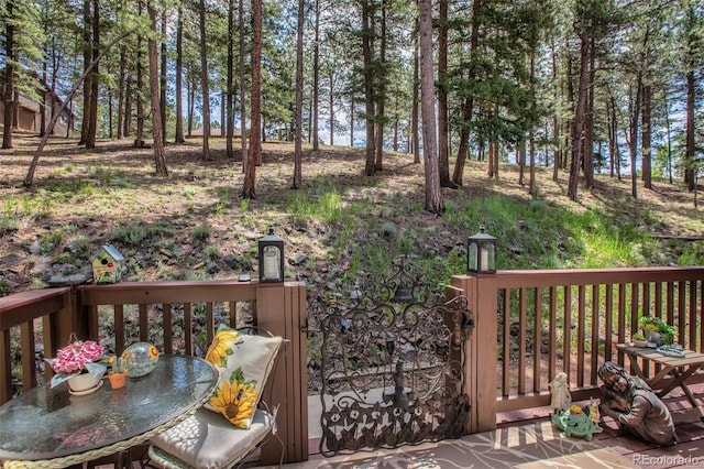 560 Manor Ct, Woodland Park, CO 80863 - photo 30