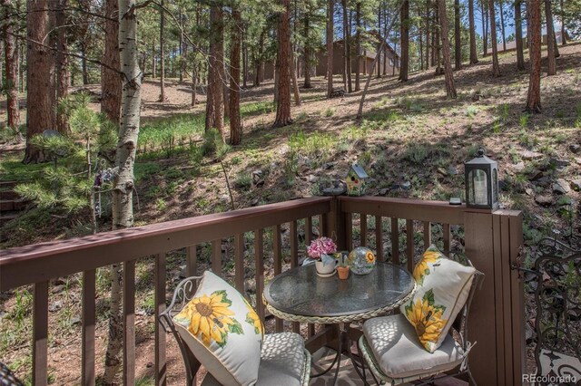 560 Manor Ct, Woodland Park, CO 80863 - photo 31