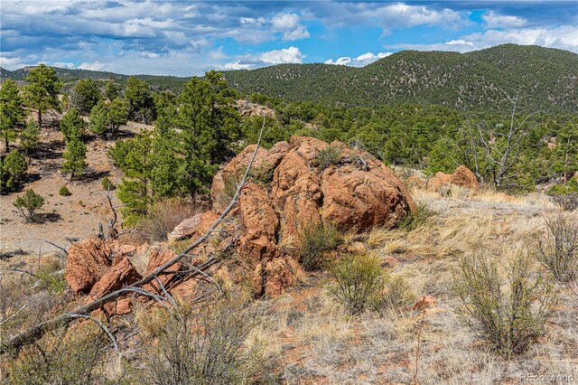 TR-56 Macdonnell, Cotopaxi, CO 81223
